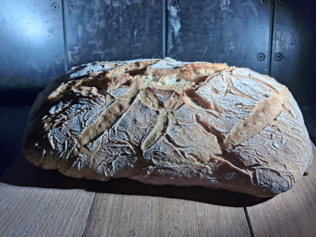 PAVÉ BLÉ ANCIEN BARBU DU ROUSSILLON MOULIN DU CASTANIÉ