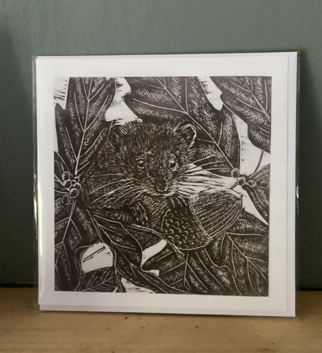 Bank Vole greeting card