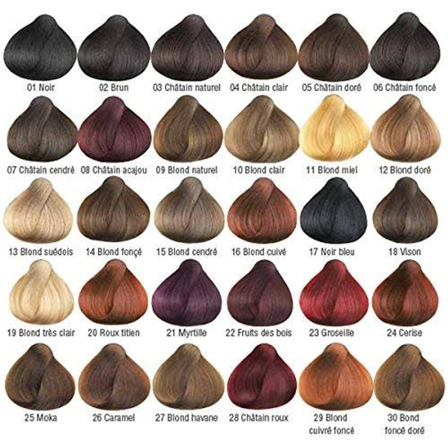 Tinta permanente “fai da te” Sanotint Classic