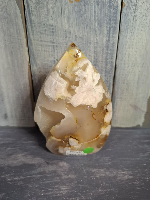 Flower Agate Teardrop