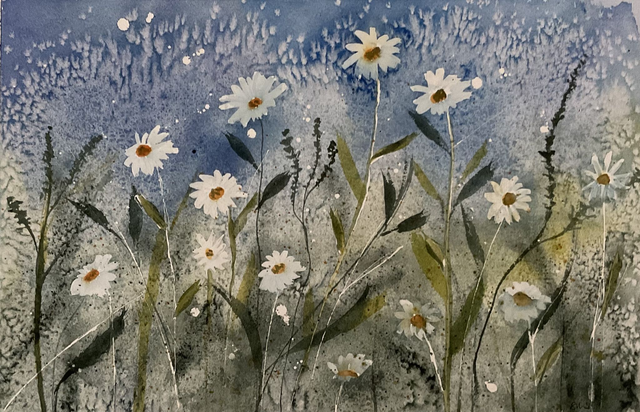 Daisies in the Undergrowth