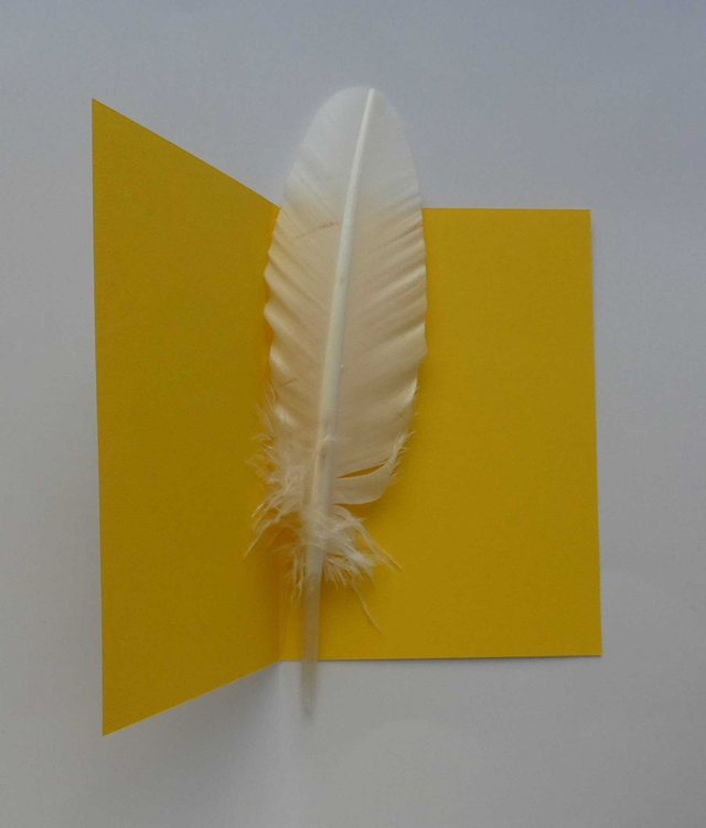 La grenouille de la bonne année