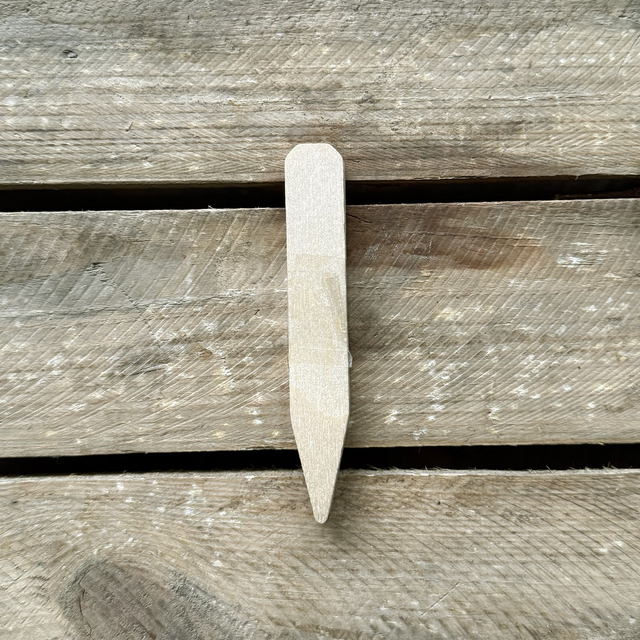 Small wooden plant labels