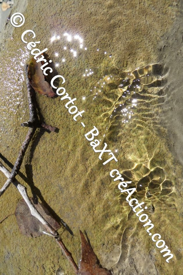 Impression sur alu dibond - Reflets et cours d'Eau (ref 6680)