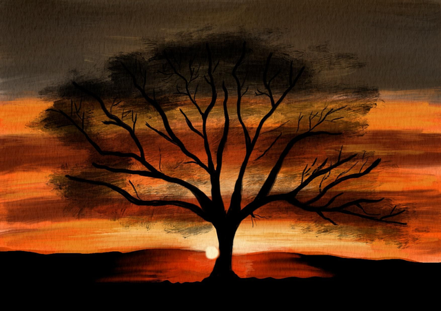 Boom met zonsondergang 