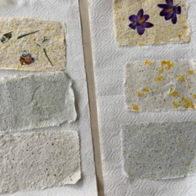 Paper making Workshop: one to one 