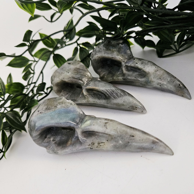 Labradorite Crow Head Carving