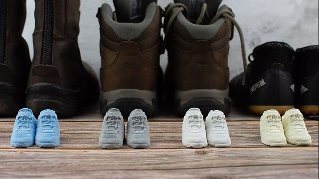 Stinky Feet Fresheners