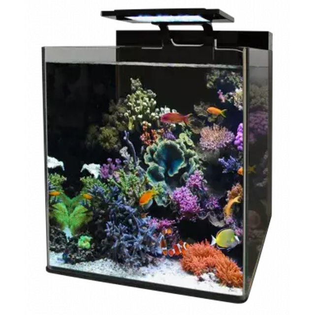 BM REEF 90 AQUARIUM 8715897320705