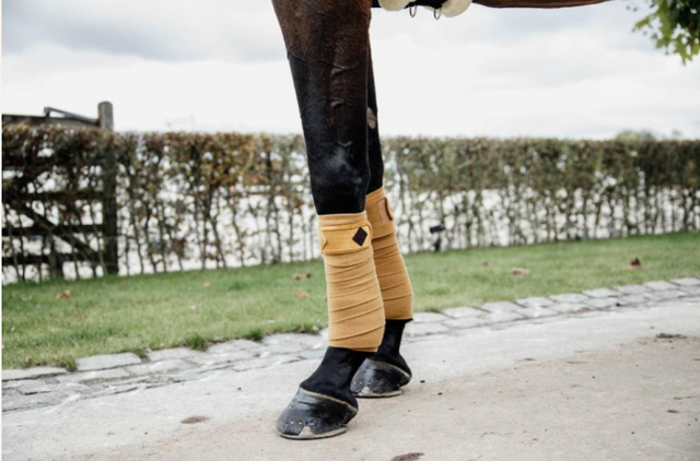 Bandes de polo Polar Fleece Velvet Kentucky