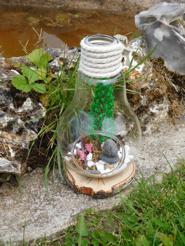 Ampoule Zen