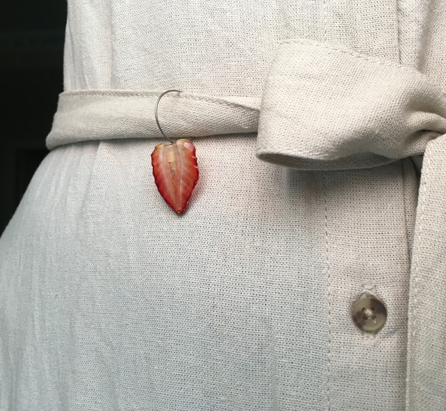 Strawberry belt clip-on