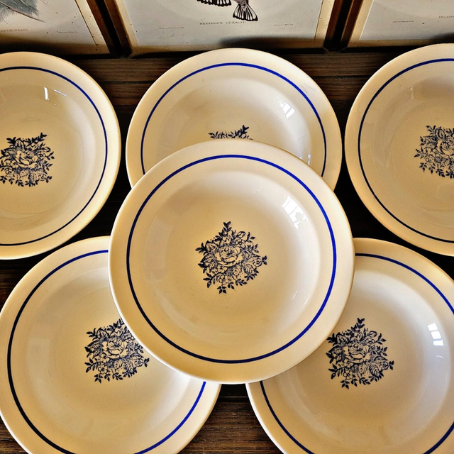 Assiettes creuses vintage faïence ADP, motifs de roses couleur bleu