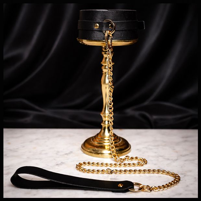 Collier et laisse Obey - Accessoire issu de mon dressing photo