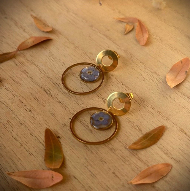 Béa - Myosotis d'or