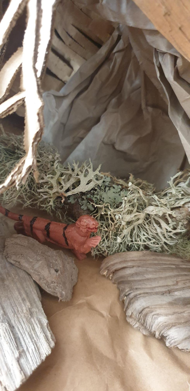 ATELIER "CONSTRUIS LA TANIERE DU TIGRE"