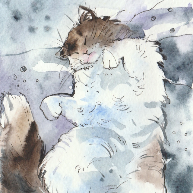 Képeslap, lustálkodó cica