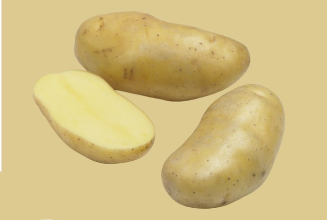 Linzer Delikatess – Chair ferme d’exception