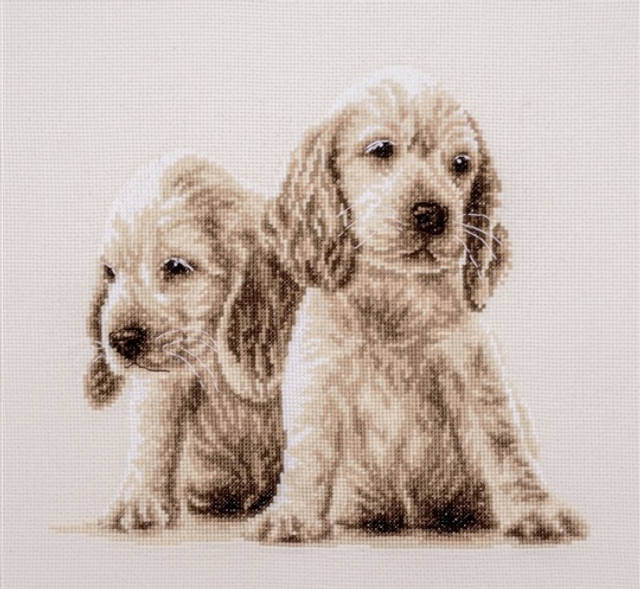 Vervaco Two Puppies Counted Cross Stitch Kit