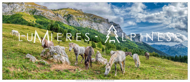 Alpage du cul du bois , parc régional des Bauges (France) 46 * 20 cm