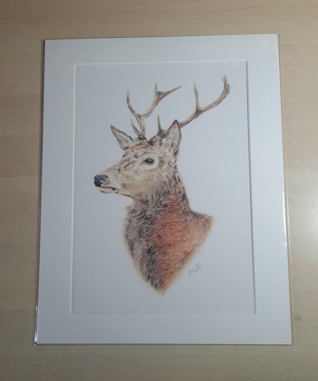 Stag Original Drawing