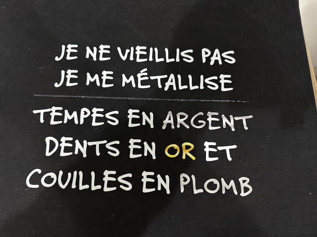 je ne vieillis pas je me métallise