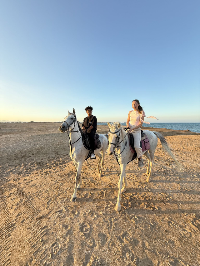 Balade à cheval + nage avec le cheval