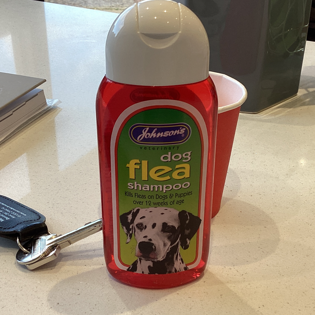 Johnson’s Dog flea Shampoo
