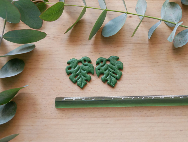 Monstera vert foncé