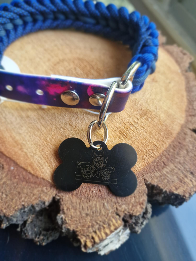 Médaille chien et chat 