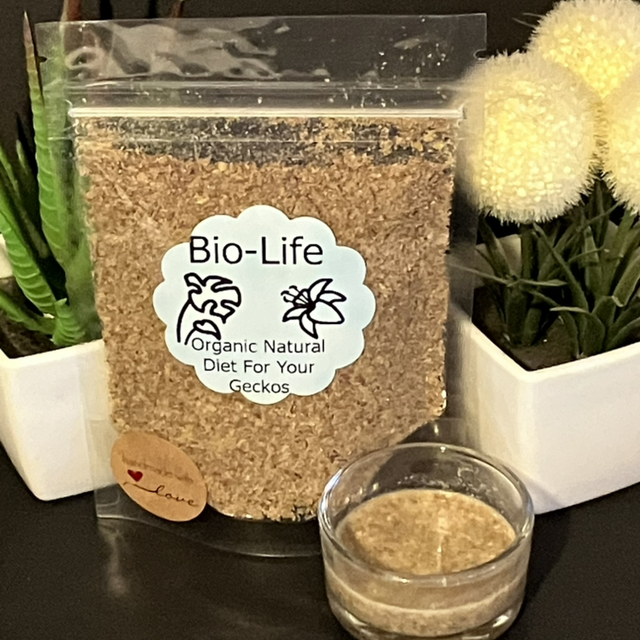 Mango & Mealworm Diet for Fruit Eating Geckos 40g