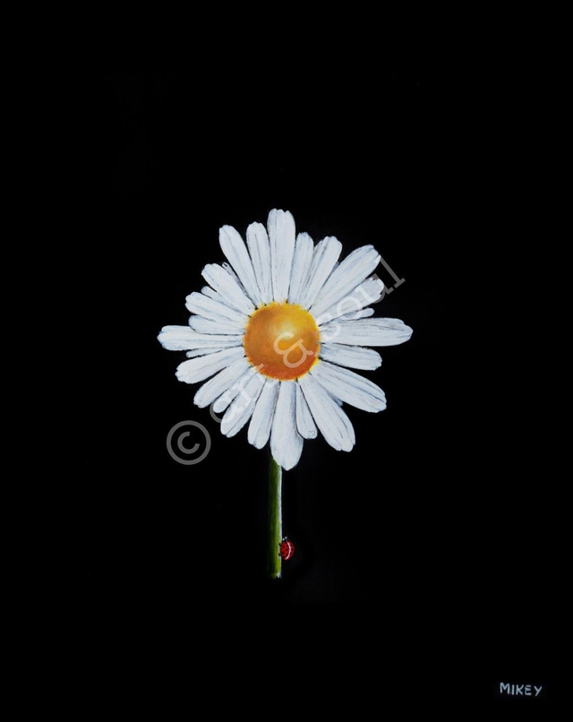 7"x5" Print only - special offer