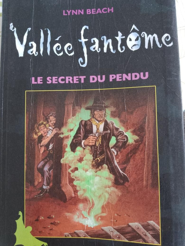 Vallée fantôme, le secret du pendu, Lynn Beach