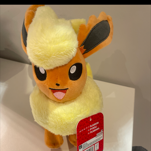 Pokémon De Peluche 20 Cm