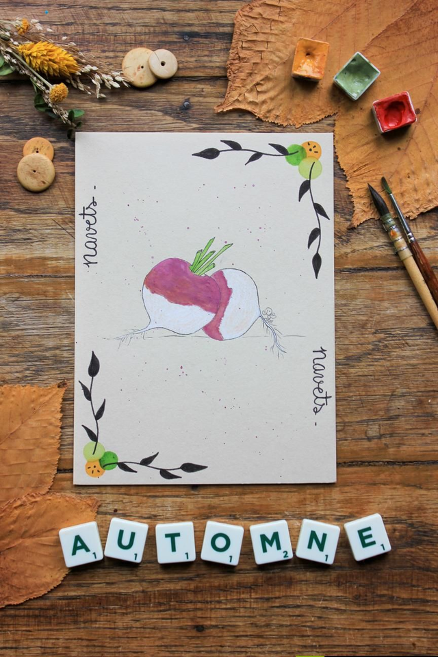 Carte Légume Navets