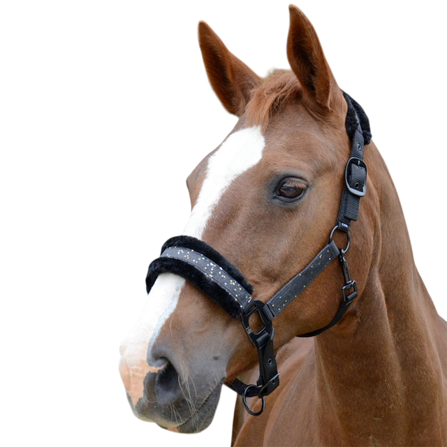 HY Dazzle Head Collar - BLACK