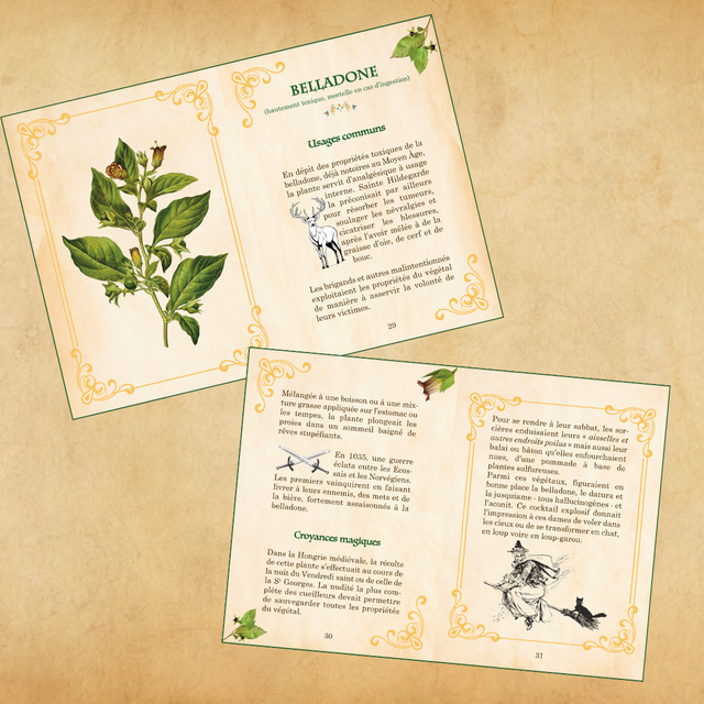 Plantes magiques du Moyen Âge