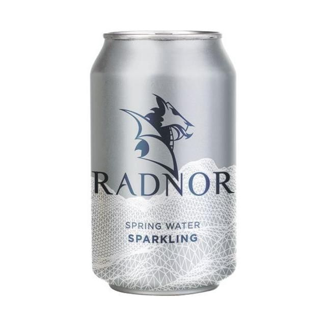 Radnor Hills Spring Water Sparkling 330ml Can