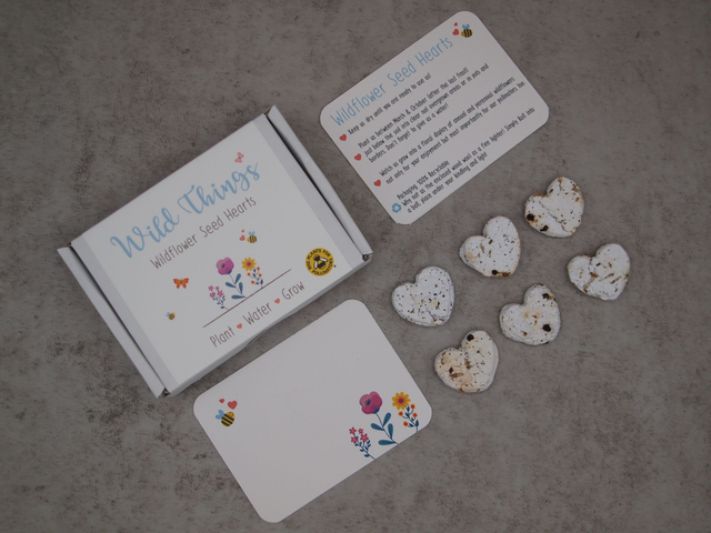 Seed Bomb Box - Wild Flower selection