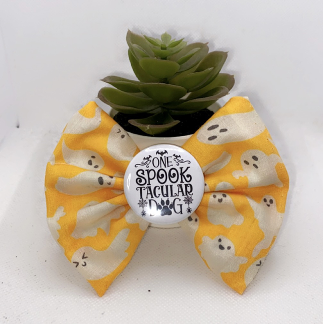 One spooktacular dog! 