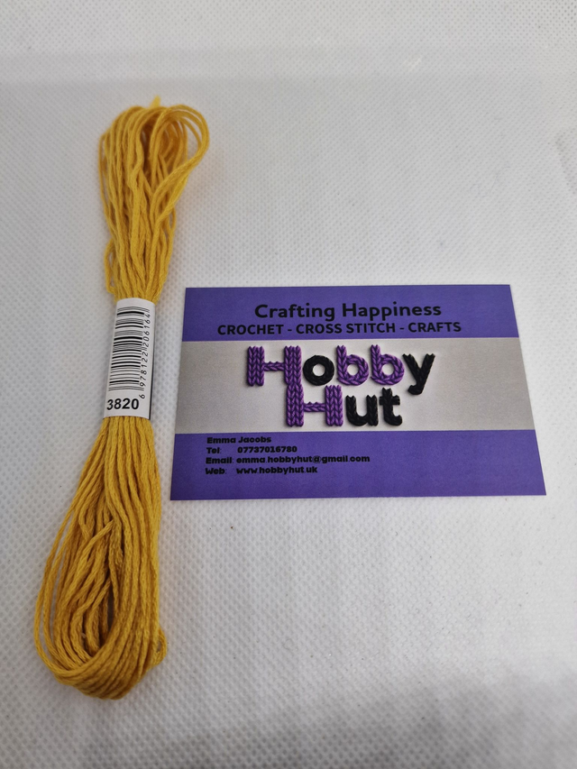 Embroidery Thread - 3820