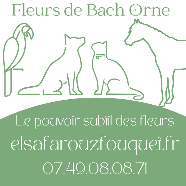 Fleurs de Bach Mélange personnalisé cheval / ane 
