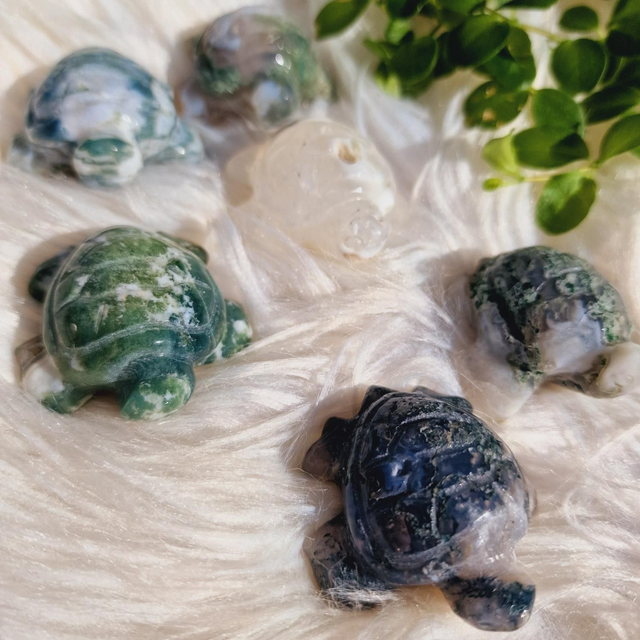 Moss Agate Turtle