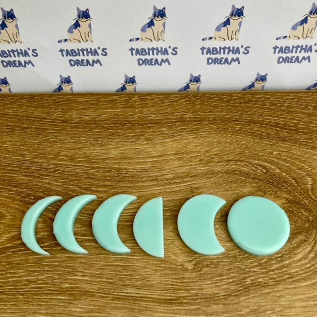 Moon Eclipse Wax Melts 🌙 