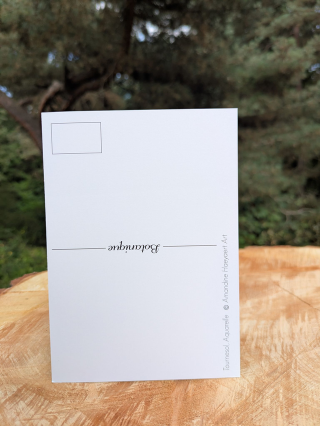 Carte postale Tournesol