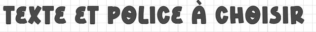 Police 6