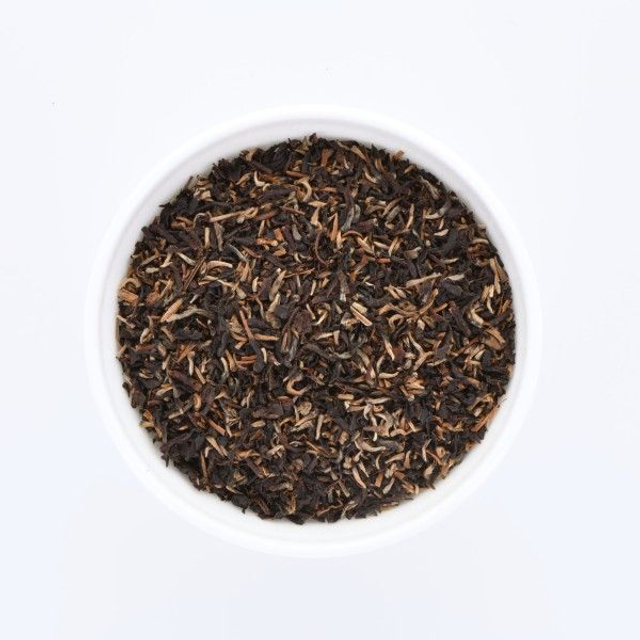 Ceylan FBOPEXSP 'Kenilworth' - Golden Tips