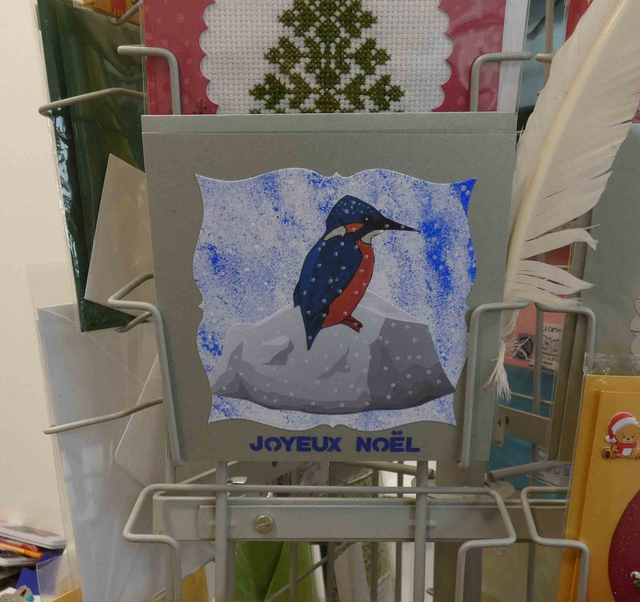 Joli martin-pêcheur de Noël