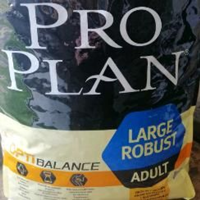 adult large 18kg robust poulet