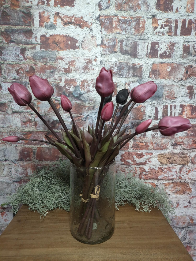 Tulp donkerroze